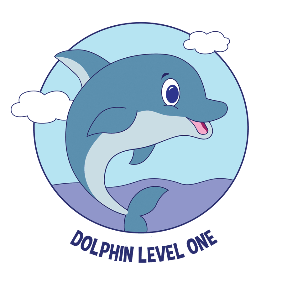 Dolphin Swim Level