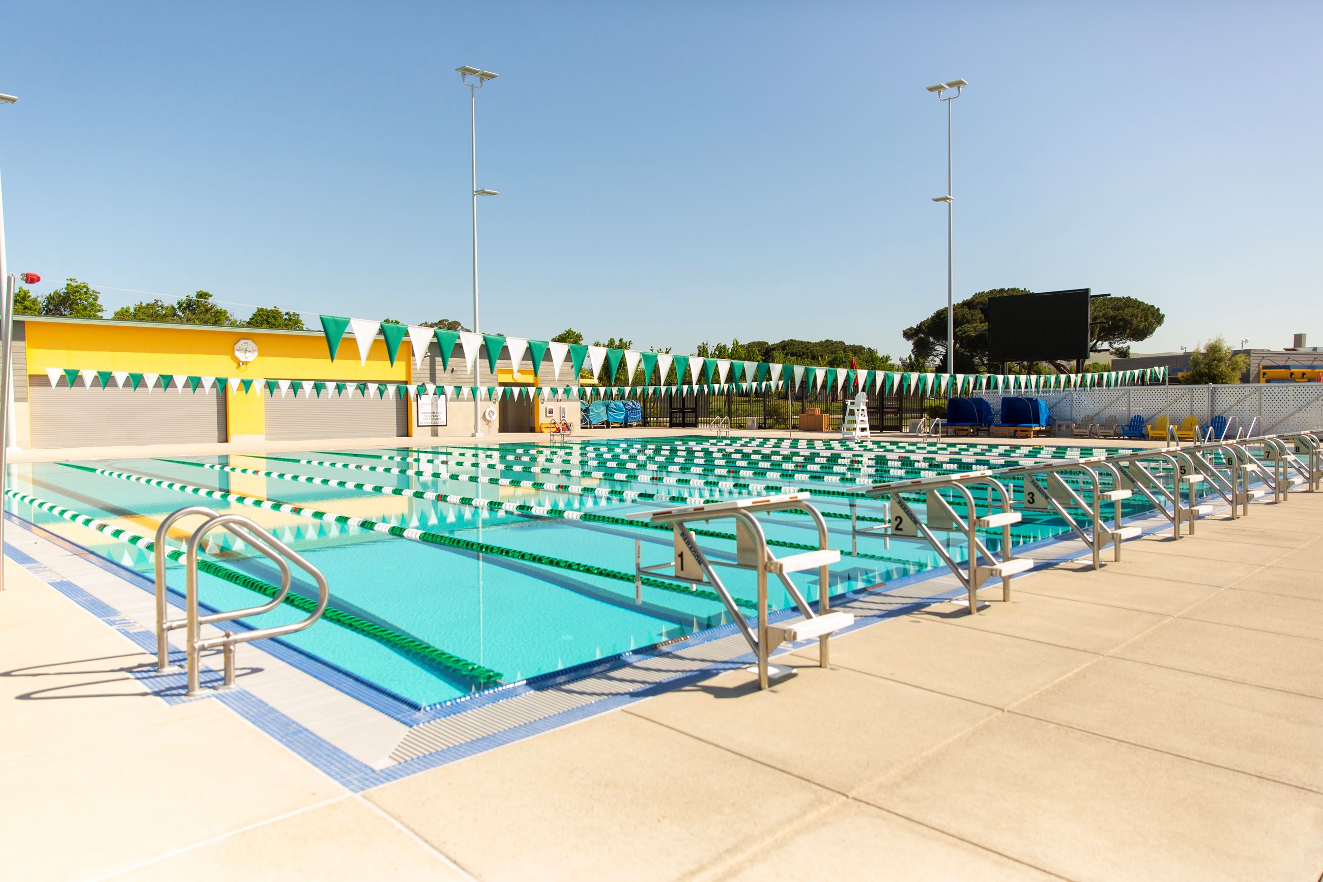 Paul McCreary Sports Pool